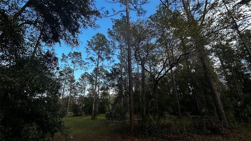 For Sale: $439,000 (5.07 acres)