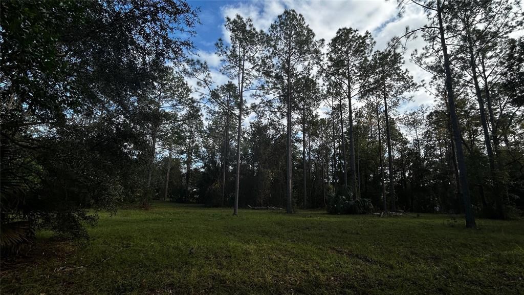 For Sale: $439,000 (5.07 acres)