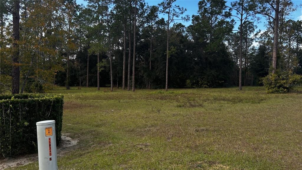 For Sale: $439,000 (5.07 acres)