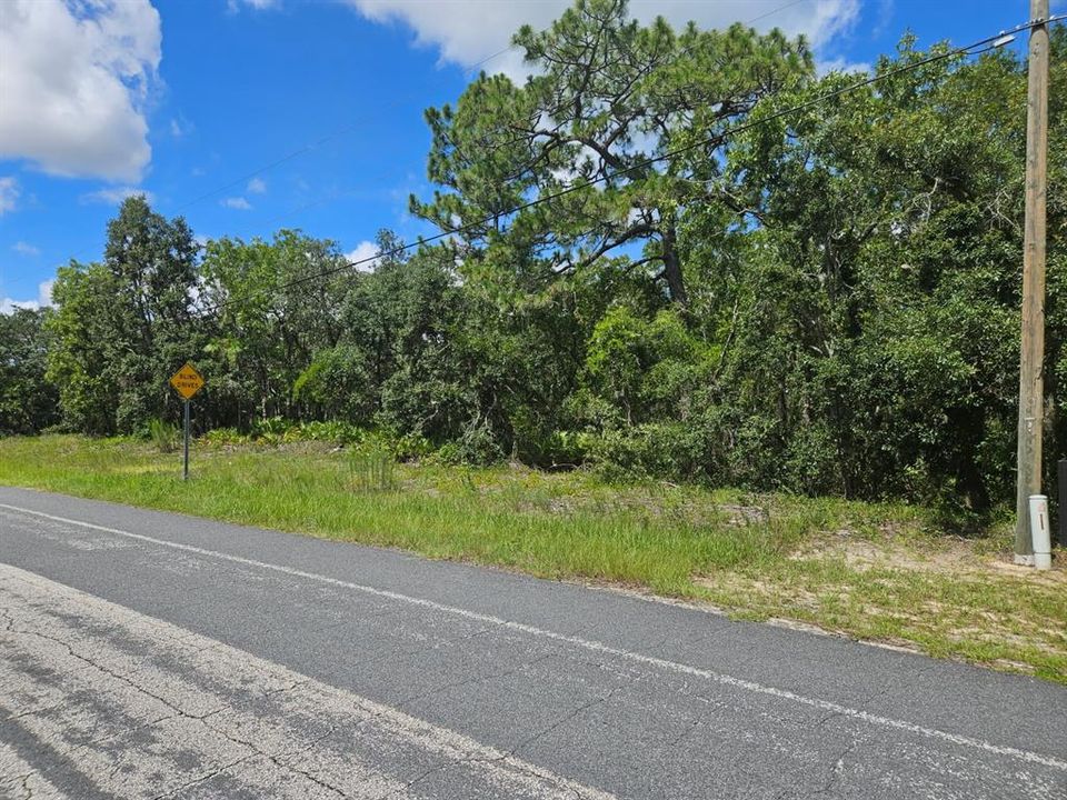 待售: $160,000 (2.75 acres)