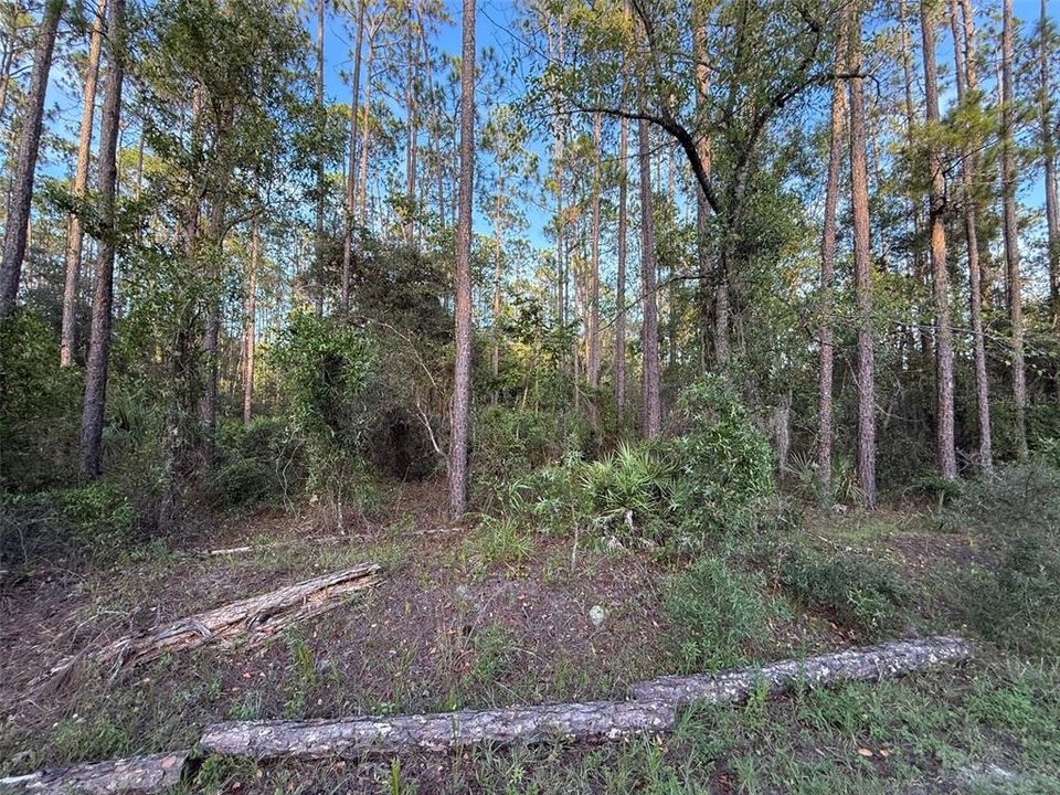 На продажу: $15,000 (0.24 acres)