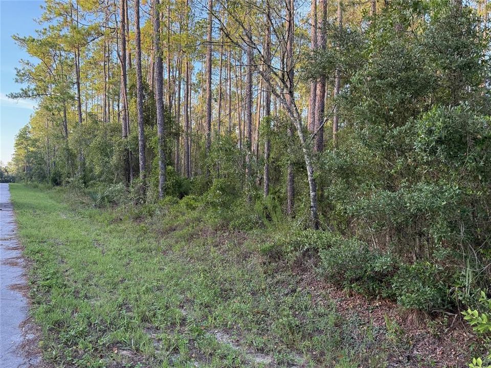 На продажу: $15,000 (0.24 acres)