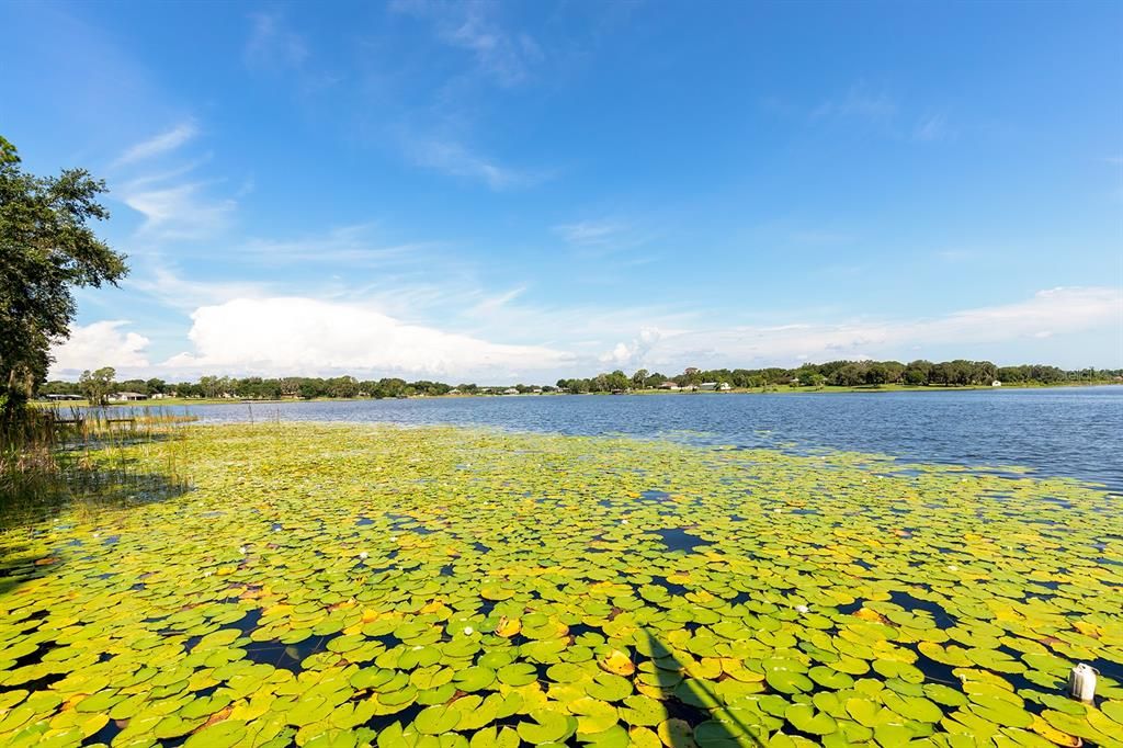 待售: $975,000 (4 贝兹, 3 浴室, 4291 平方英尺)