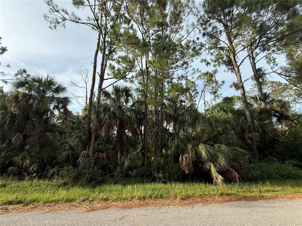 На продажу: $11,000 (0.23 acres)