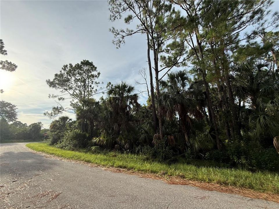 На продажу: $11,000 (0.23 acres)