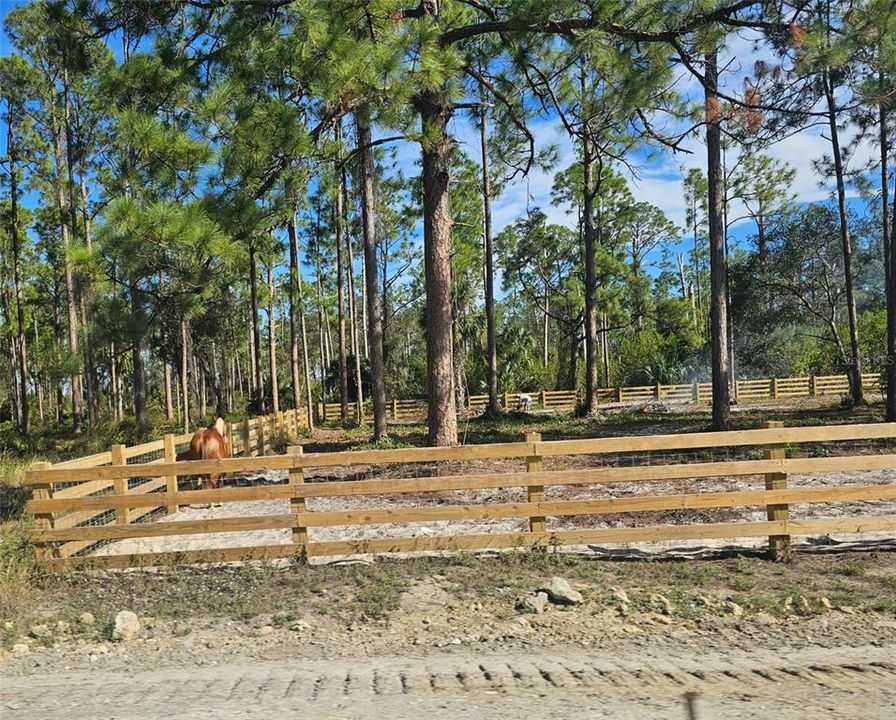 待售: $80,000 (1.25 acres)