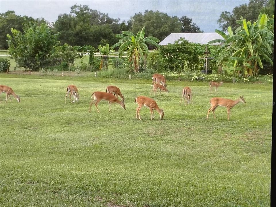 For Sale: $774,900 (4 beds, 3 baths, 1819 Square Feet)