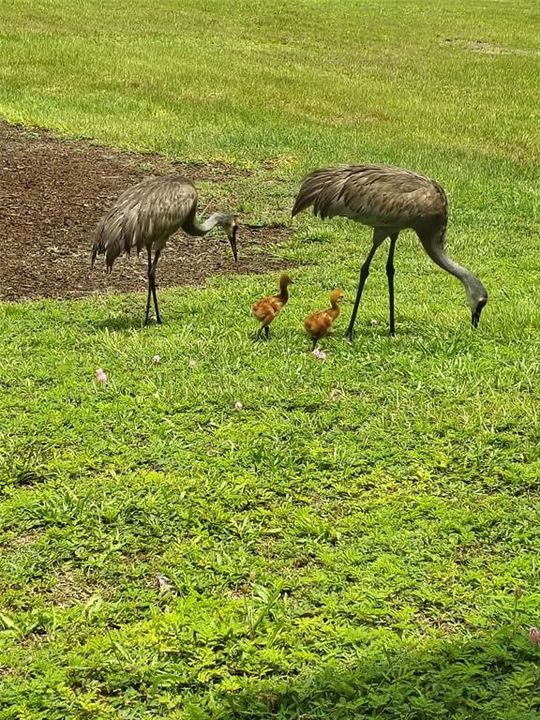 For Sale: $774,900 (4 beds, 3 baths, 1819 Square Feet)