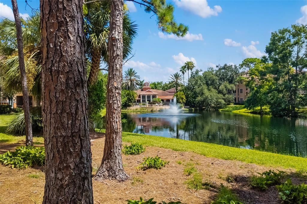 For Sale: $165,000 (1 beds, 1 baths, 759 Square Feet)