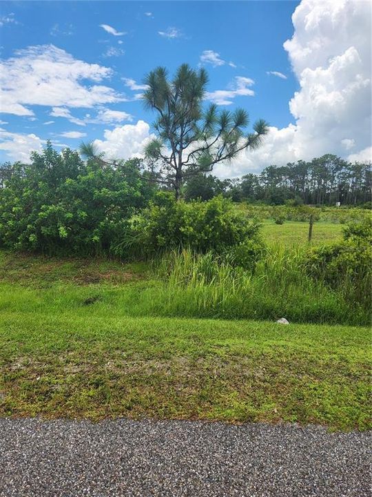 Recently Sold: $125,000 (1.10 acres)