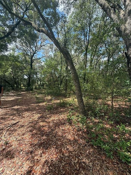 待售: $15,000 (0.36 acres)