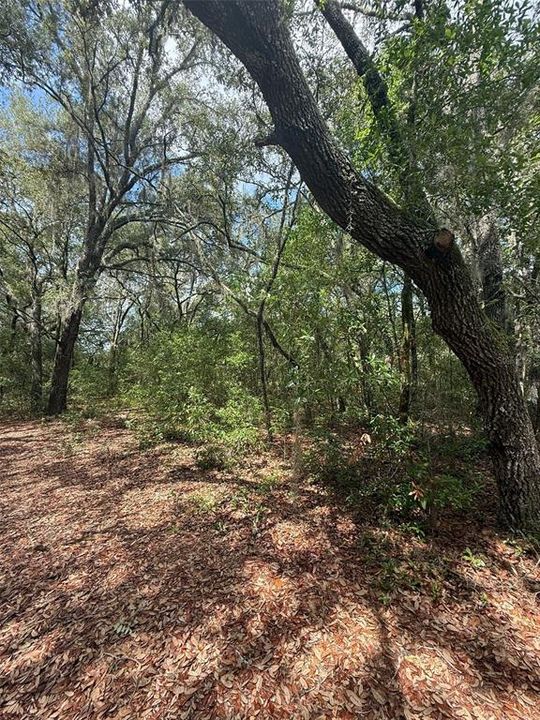 待售: $15,000 (0.36 acres)