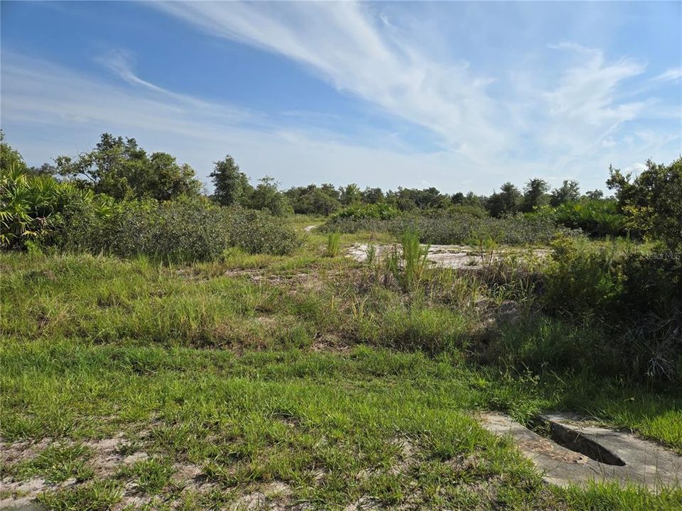 For Sale: $189,999 (5.17 acres)