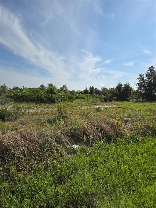 For Sale: $189,999 (5.17 acres)