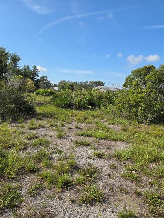 For Sale: $189,999 (5.17 acres)