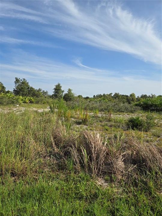 For Sale: $189,999 (5.17 acres)