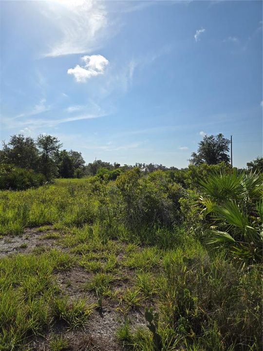 For Sale: $189,999 (5.17 acres)