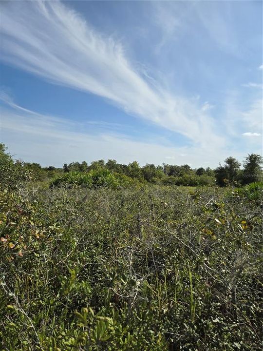 For Sale: $189,999 (5.17 acres)