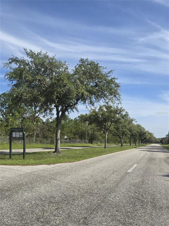 For Sale: $189,999 (5.17 acres)