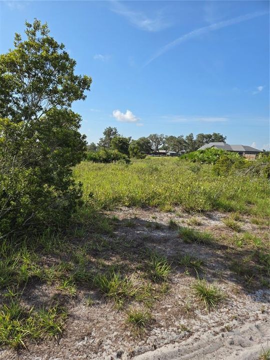 For Sale: $189,999 (5.17 acres)