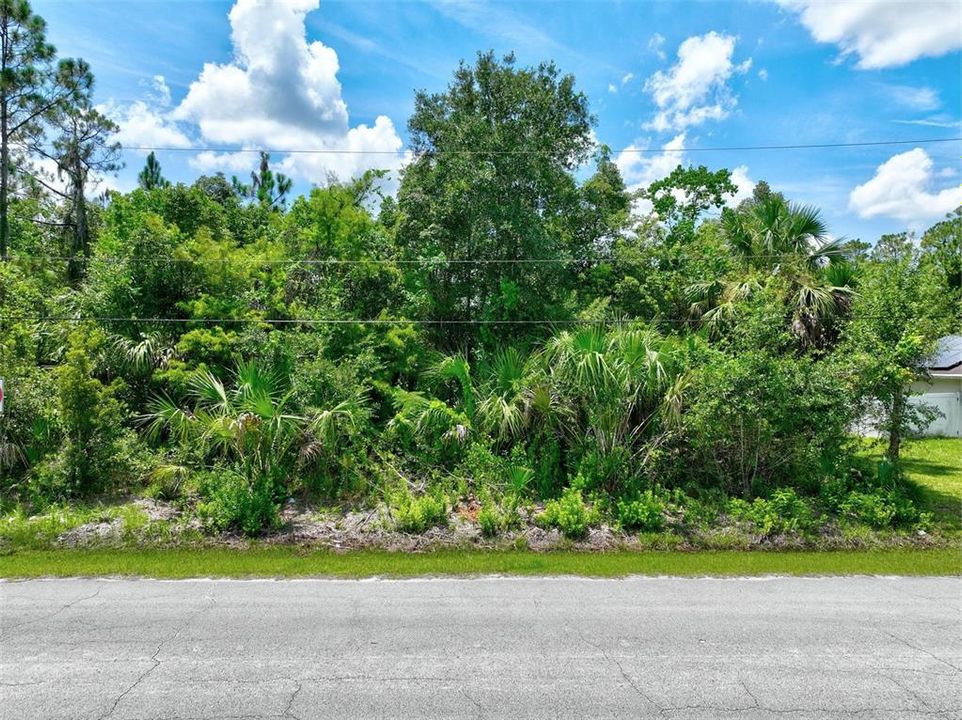 For Sale: $80,000 (0.24 acres)