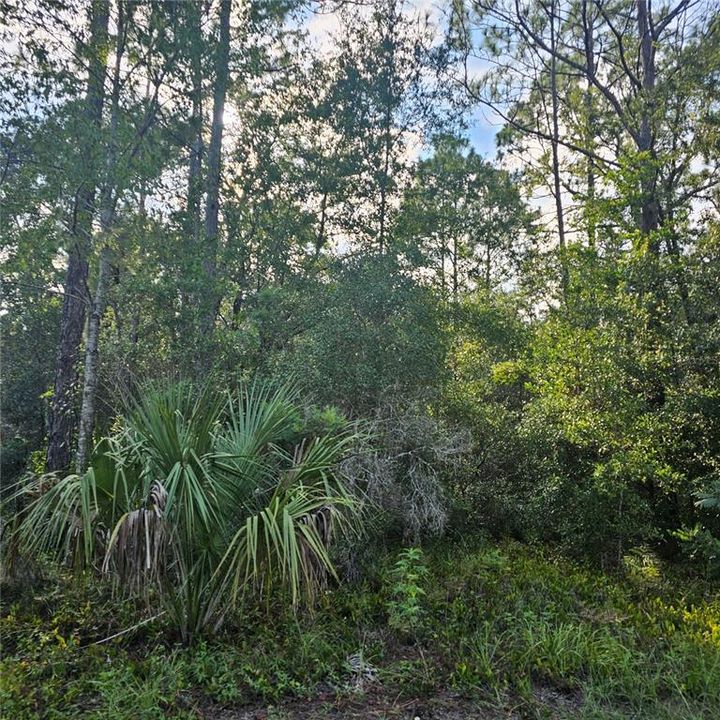 En Venta: $42,000 (2.02 acres)