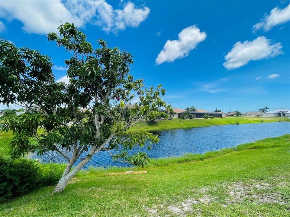 En Renta: $5,450 (3 camas, 3 baños, 2413 Pies cuadrados)