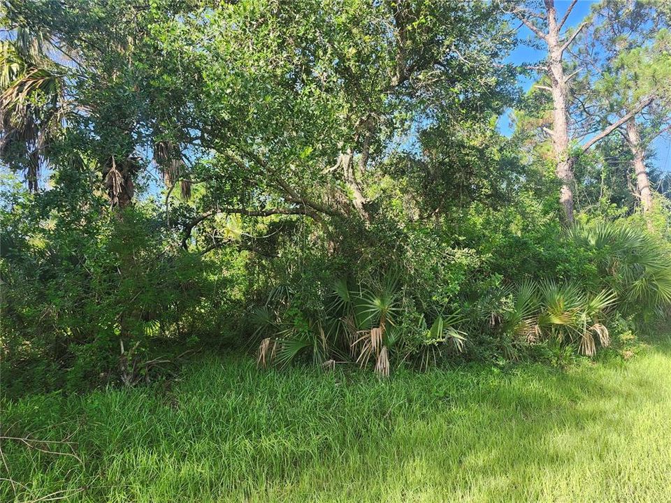 Недавно продано: $16,500 (0.23 acres)