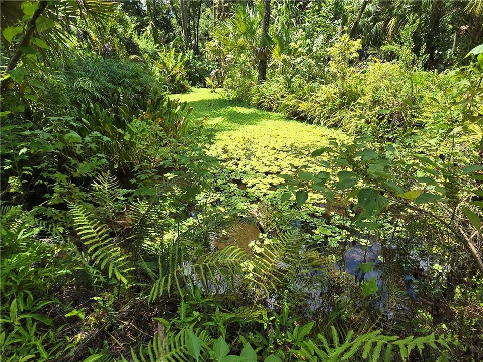 待售: $475,000 (0.28 acres)