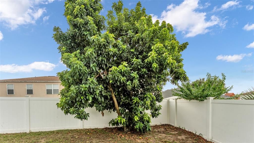 For Sale: $419,900 (4 beds, 2 baths, 2818 Square Feet)