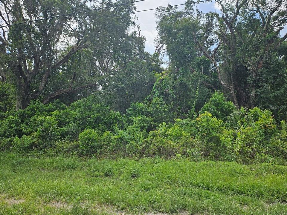 En Venta: $89,000 (1.71 acres)