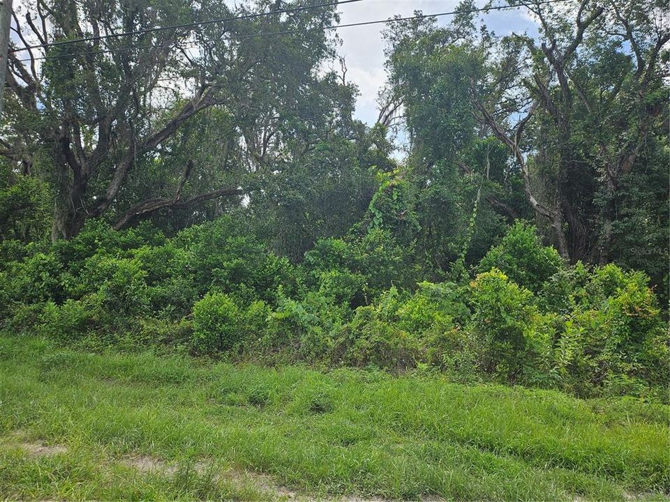 En Venta: $89,000 (1.71 acres)