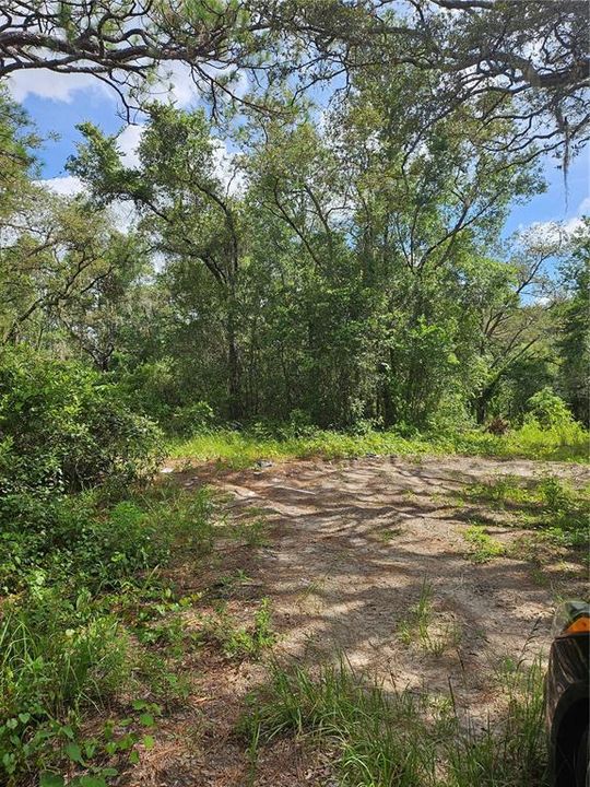 En Venta: $89,000 (1.71 acres)