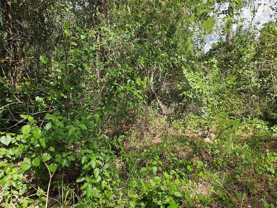 En Venta: $89,000 (1.71 acres)