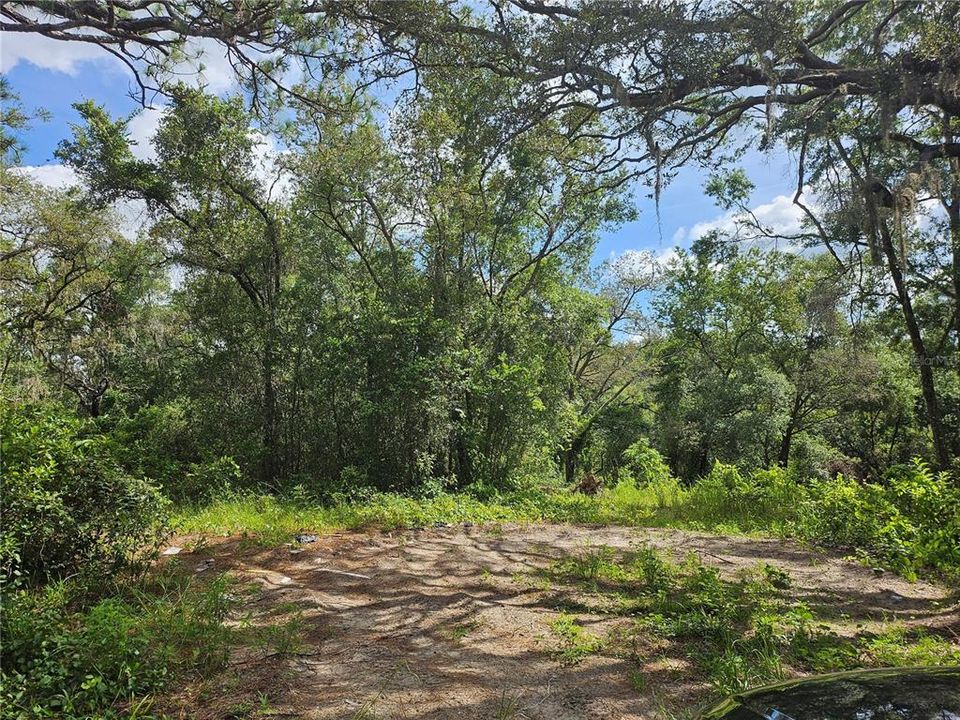 En Venta: $89,000 (1.71 acres)