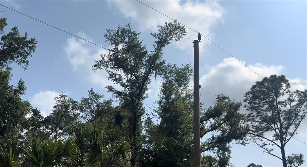 На продажу: $18,500 (0.23 acres)