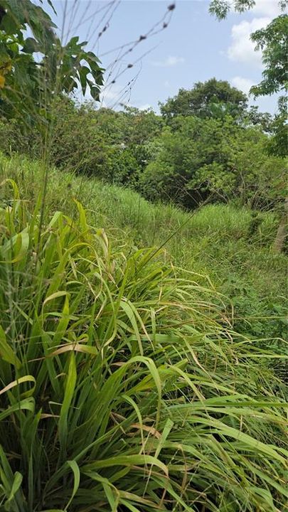 En Venta: $110,000 (4.37 acres)