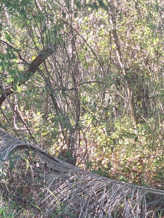 待售: $94,900 (0.43 acres)