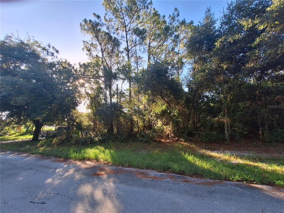 待售: $94,900 (0.43 acres)