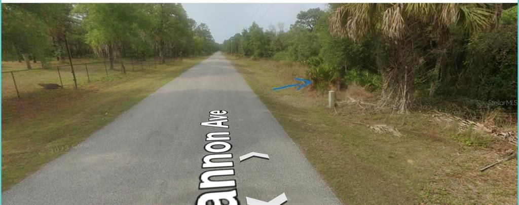 Recently Sold: $48,000 (1.23 acres)