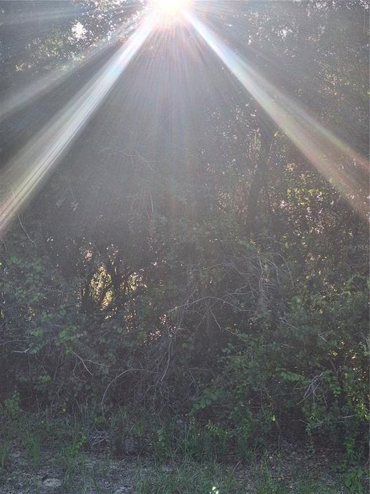 For Sale: $84,900 (0.40 acres)