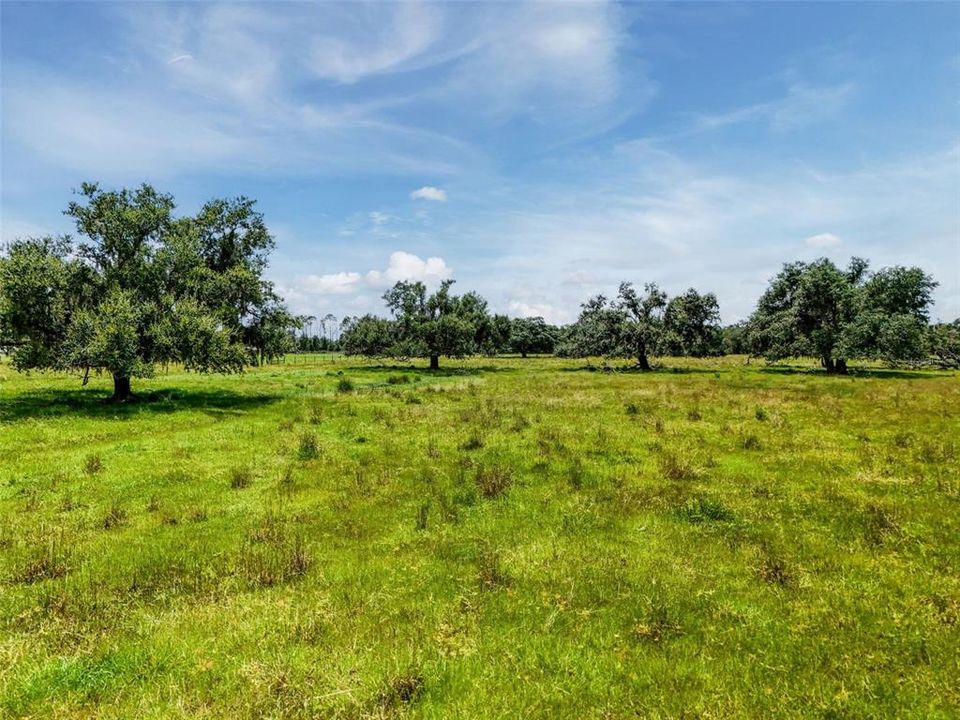 待售: $1,195,000 (47.39 acres)