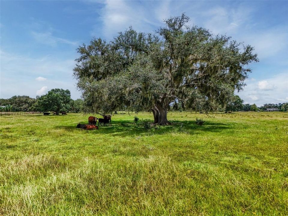 待售: $1,195,000 (47.39 acres)