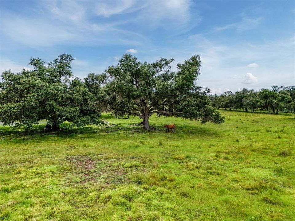 待售: $1,195,000 (47.39 acres)