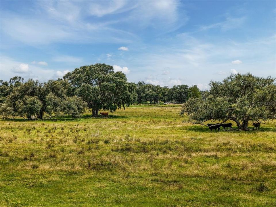 待售: $1,195,000 (47.39 acres)