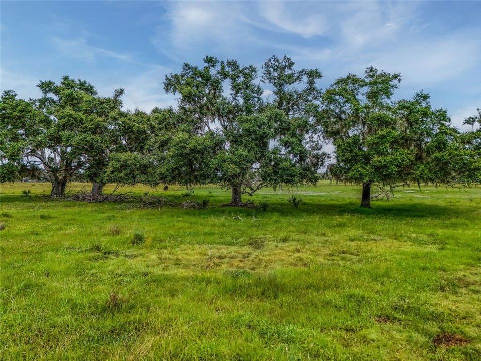 待售: $1,195,000 (47.39 acres)