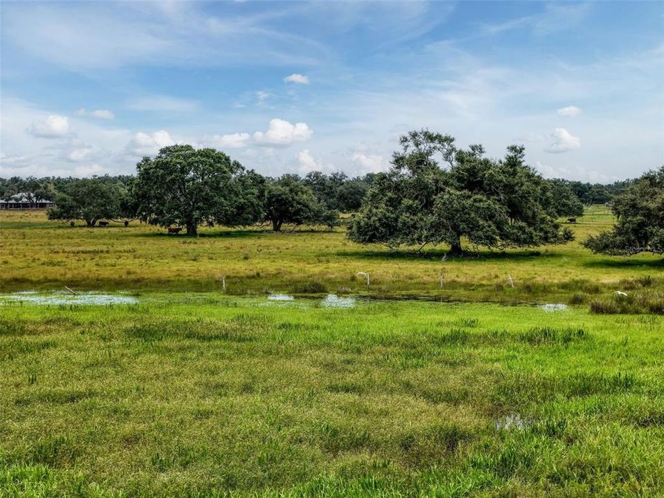 待售: $1,195,000 (47.39 acres)