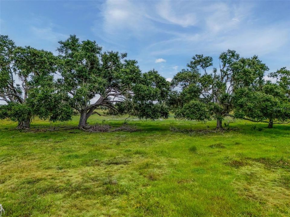 待售: $1,195,000 (47.39 acres)