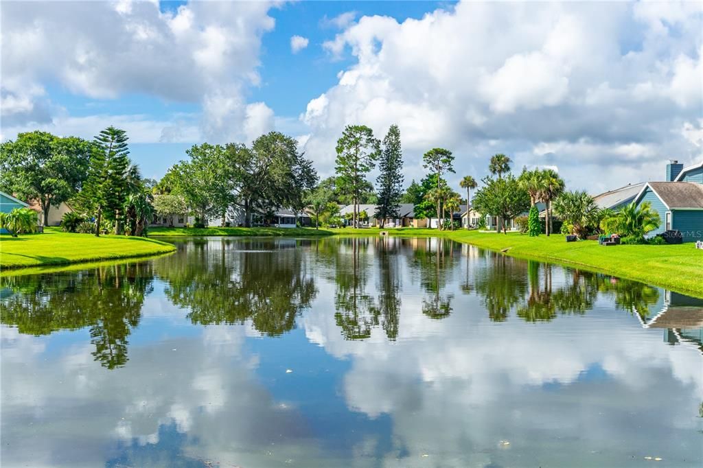 Под контрактом: $319,000 (3 спален, 2 ванн, 1344 Квадратных фут)