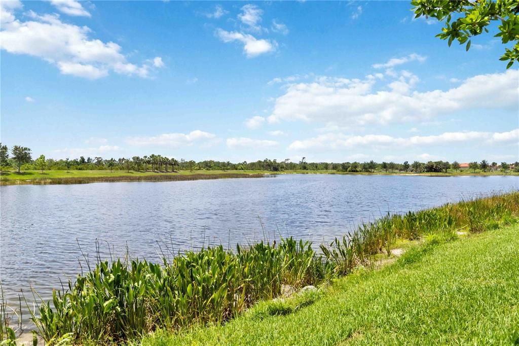 For Rent: $7,500 (3 beds, 2 baths, 1737 Square Feet)